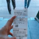 아는형님게스트하우스 | 여행 !! 완도(완도네시아 게스트하우스) ~ 제주도 ~ 제주도 레몬트리게스트하우스 // 배타고 제주도로...