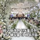코리아세븐 성남희망점 | 더 바실리움 웨딩홀 상담 후기 (계약 X, 견적 공유)