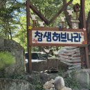 참샘길 | [공지] [밀양] 내돈내산 참샘허브나라 라벤더 단독 수영장 | 20명 단체여행 추천