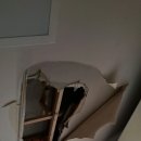 다인리치뷰 이미지