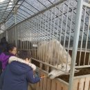 강서구-20 이미지