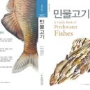 자연사 이미지