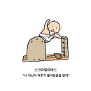 노루목작은도서관 | 2024/09 셋째 주 주간일기 :: 정신 차려 임마! 울지 마라!