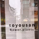 소유산 - 강화군 남문안길 31 | [Travel_경기]밤리단길 플라워샵 소유산 방문후기