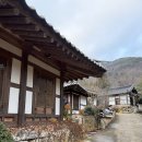 한옥과편백의 만남 | 고즈넉한 자연과 세련된 한옥의 만남 _ 완주 소양고택 힐링 여행