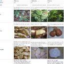 건강과약초 이미지