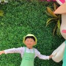 힐링팜 이미지