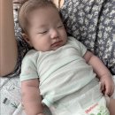 테라피 드 포레 | 압구정 피부관리 테라피 드 포레 작은얼굴관리 후기 육아피로 굿바이!