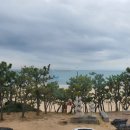 파스쿠찌대천해수욕장점 이미지