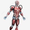 제이비복싱짐 이미지