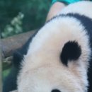 후다닥(주)