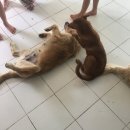 블루몽키 이미지