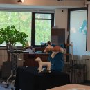 보정동물병원 이미지