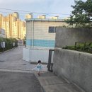 현대자동차주 - 화성시 10용사로 416 | [부산] 현대자동차 ♥ 캐치! 티니핑 후기