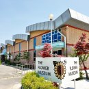 장천 꽃 박물관 이미지