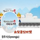 비데랜드 - 포항시 북구 용당로 33 | 비데랜드