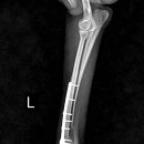 삼화 우수한동물병원 이미지