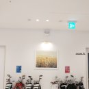 프로스크린골프연습장 이미지
