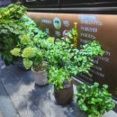 완월동216 이미지