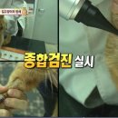 박성준동물병원 이미지