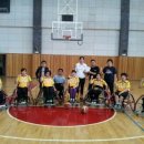 레드폭스 이미지