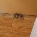 일박펜션 이미지