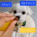 체리야피부