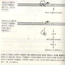 본성-양육 논쟁.. 발상의 전환 이미지