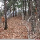 버드래미 이미지