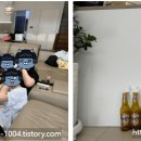 스테이 703 티스토리