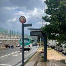 조양수지 | 나의 오랜 단골집, 가야지원조양평해장국 실제 방문 후기