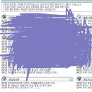 이스터에그