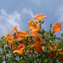 궁현2리 이미지