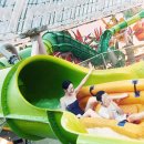 스플래쉬 이미지