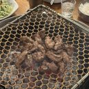 끼로끼로부엉이 | 신촌 끼로끼로부엉이