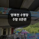 천천작은도서관 | 양재천 수영장 주말 오픈런 후기 및 주차 이야기