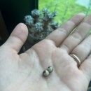 진오농장 이미지