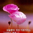 ???? 요즈음 <b>젊은</b> <b>친구들</b>