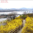 개나리공원4 이미지