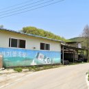 애기봉목장 이미지