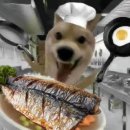 강호 프로짐 | 흑백요리사2 1화-3화 리뷰 요약: 나 한입만 주라 (스포주의)