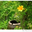 리버빌펜션 이미지