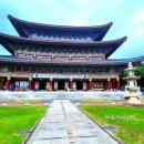 중문오렌지파크 이미지