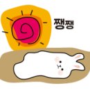 손가네참숯구이 이미지