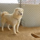 병우농장 이미지