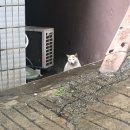 경대양분식