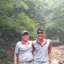 산새소리펜션 이미지