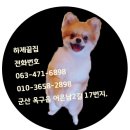 하제끝집 이미지