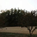 원주현대부동산공인중개사 이미지