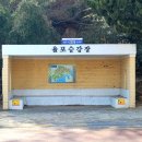 율포승강장 이미지